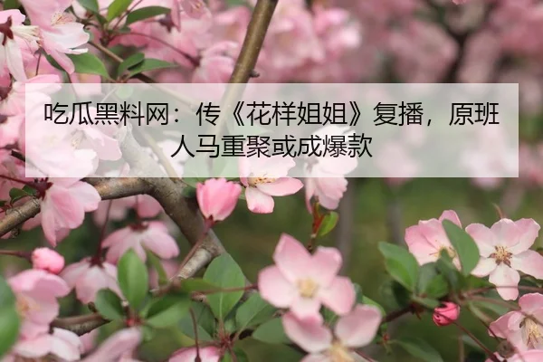 吃瓜黑料网：传《花样姐姐》复播，原班人马重聚或成爆款